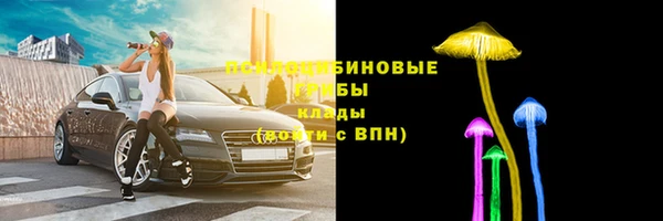 прущие грибы Кукмор