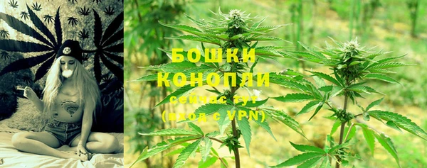 скорость Козловка