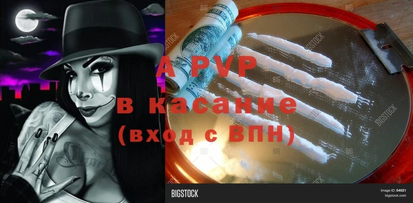 прущие грибы Кукмор