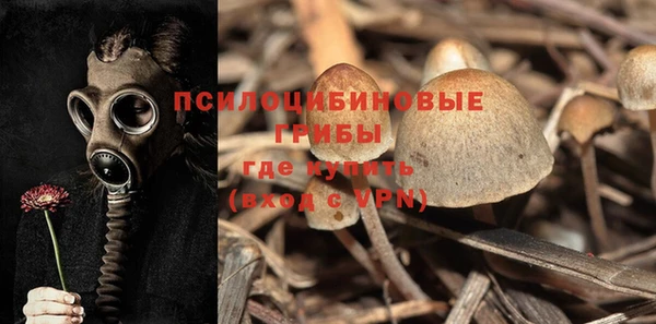ECSTASY Красноперекопск