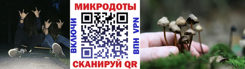 Псилоцибиновые грибы прущие грибы omg tor Терек где найти наркотики